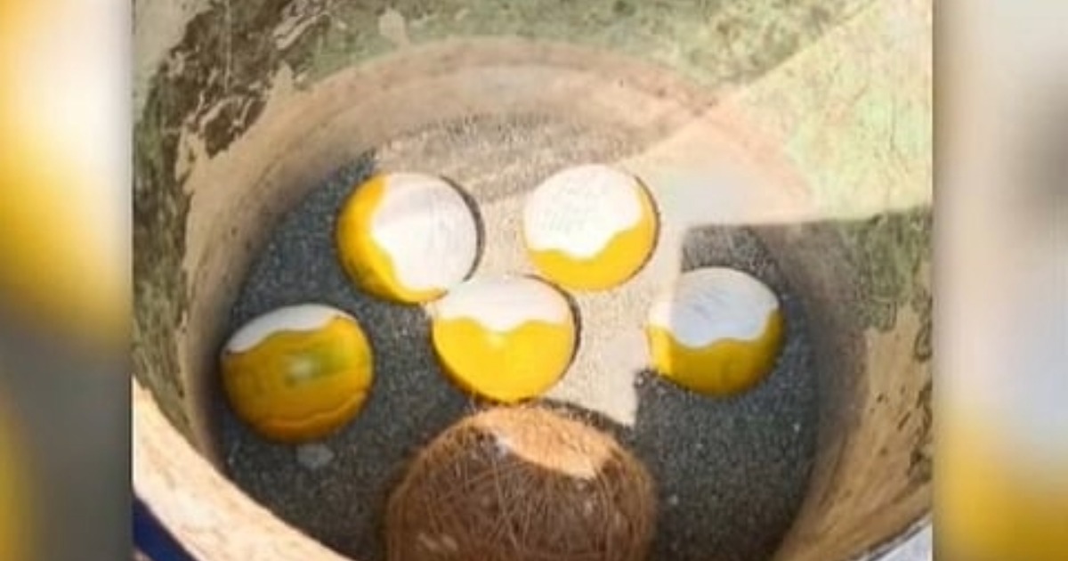  അഞ്ച് ഐസ്‌ക്രീം ബോംബുകളും ഒരു കെട്ടുബോംബും; കണ്ണൂരില്‍ വീണ്ടും ബോംബുകള്‍ കണ്ടെത്തി