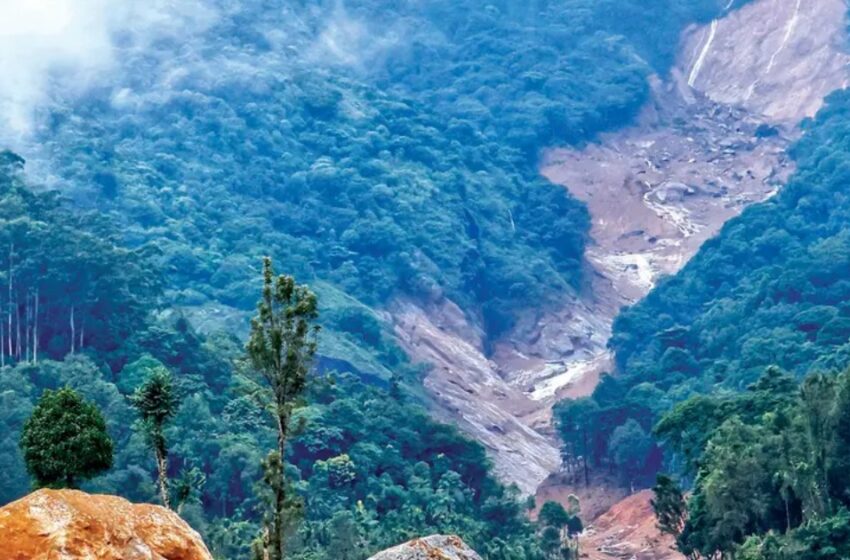  ടൗൺഷിപ്പിലെ വീട്ടിലേക്ക് സൂക്ഷിച്ച ഉപകരണങ്ങൾ കവർന്നു; ദുരന്തബാധിതരുടെ കട്ടിലും അലമാരയുമടക്കം മോഷ്ടിച്ചു