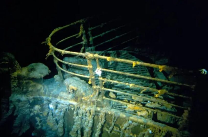  ടൈറ്റാനിക് ചരിത്രശേഷിപ്പുകൾക്ക് ലേലത്തിൽ റെക്കോർഡ് വില; യാത്രക്കാരിയുടെ ലൈഫ് ജാക്കറ്റ് വിറ്റുപോയത് 9 കോടിക്ക്