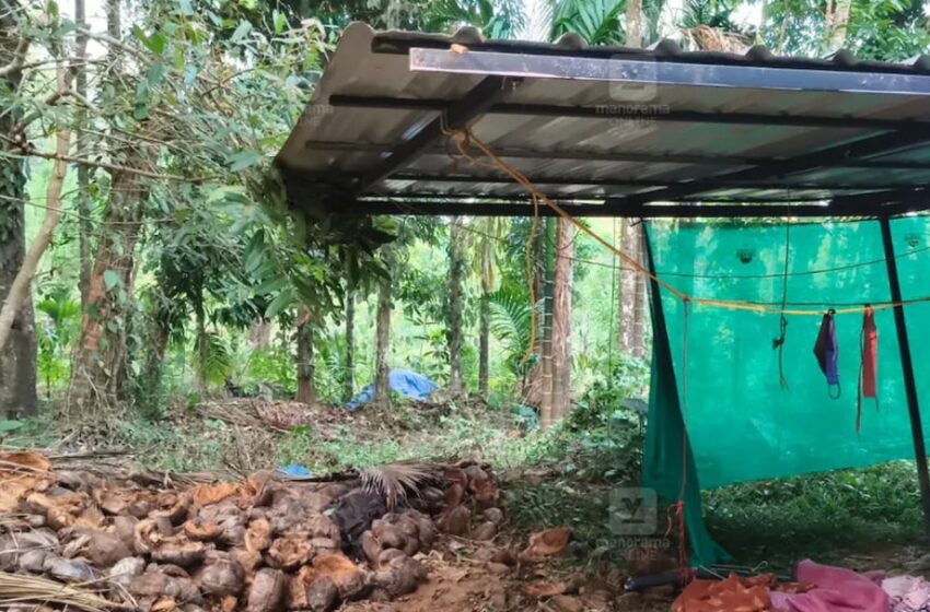  കാർ ഷെഡ്ഡിന്റെ ഇരുമ്പ് തൂൺ പൊട്ടി ആനയുടെ നെഞ്ചിൽ തുളച്ച് കയറി; കാട്ടാന ചരിഞ്ഞു