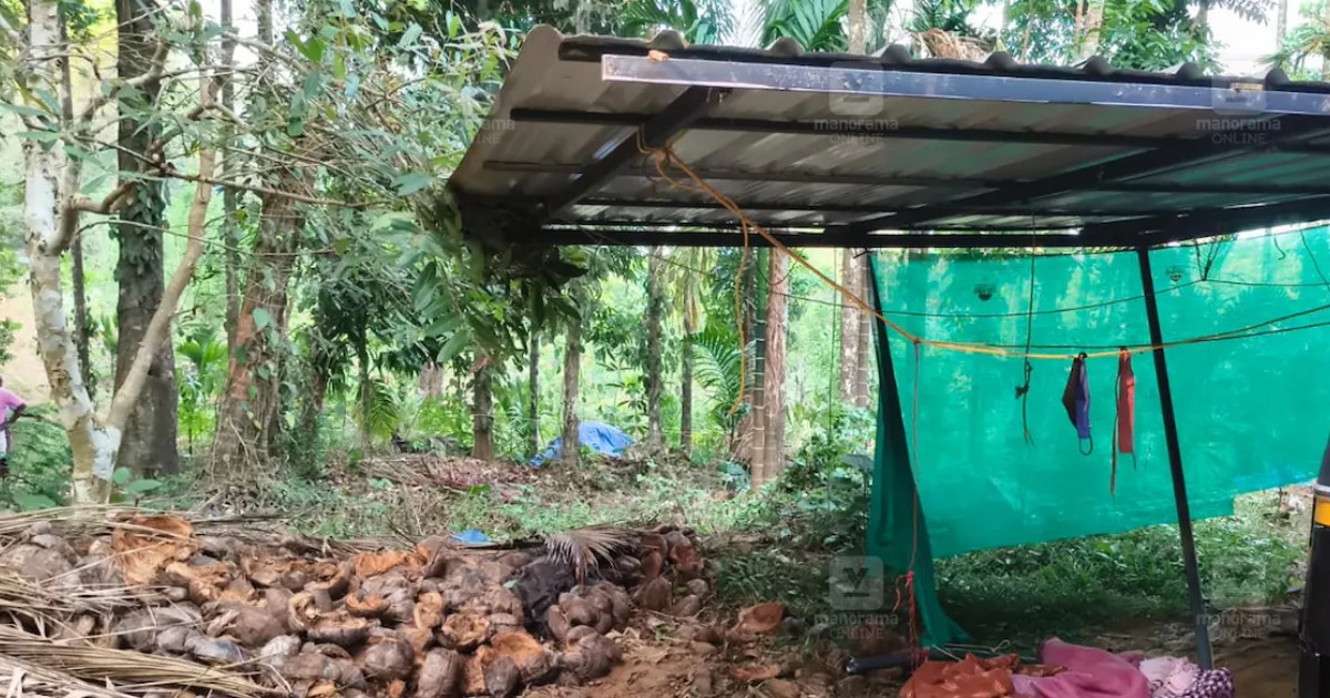  കാർ ഷെഡ്ഡിന്റെ ഇരുമ്പ് തൂൺ പൊട്ടി ആനയുടെ നെഞ്ചിൽ തുളച്ച് കയറി; കാട്ടാന ചരിഞ്ഞു