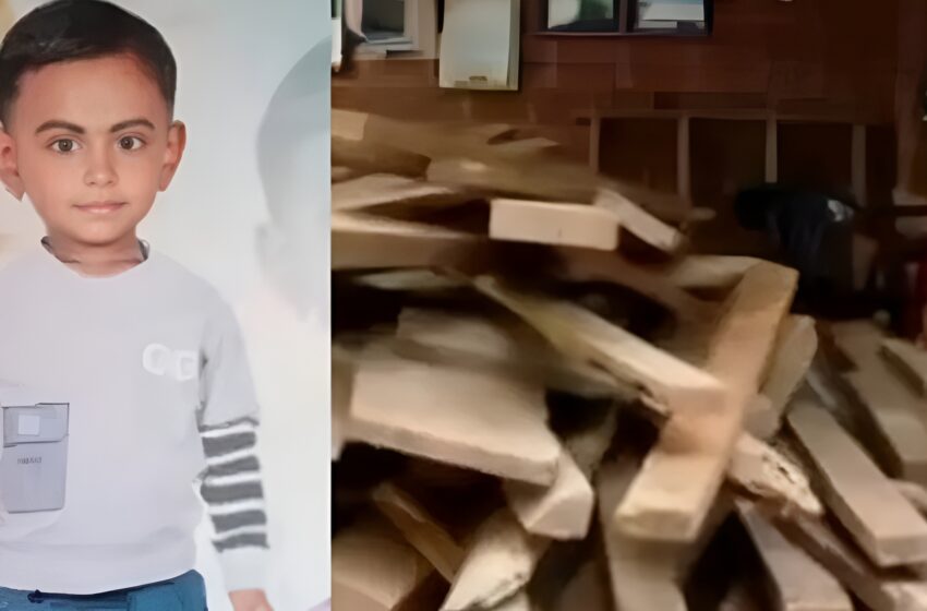  മരക്കഷണങ്ങൾക്കിടയിൽ പന്തെടുക്കാൻ കൈയിട്ടു; മൂർഖൻ്റെ കടിയേറ്റ നാലര വയസ്സുകാരിക്ക് ദാരുണാന്ത്യം