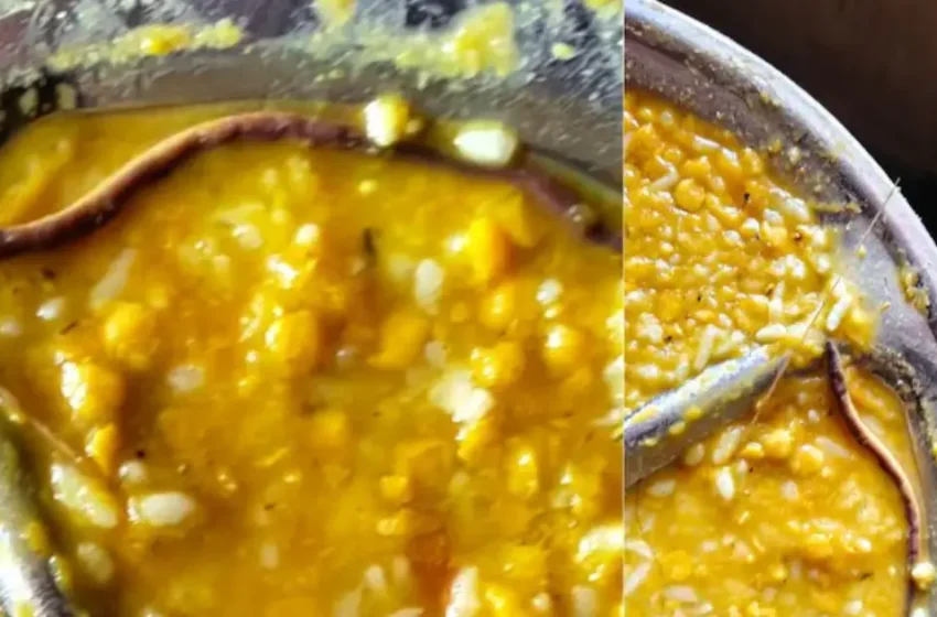  സ്കൂളിലെ ഉച്ച ഭക്ഷണത്തിൽ ചത്ത പാമ്പ്; ബിഹാറിൽ 150-ഓളം കുട്ടികൾ ആശുപത്രിയിൽ