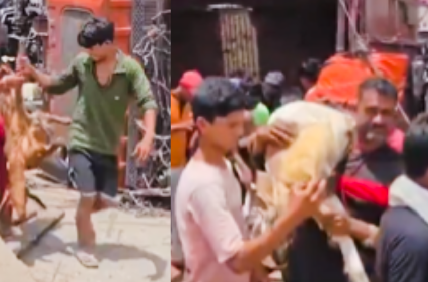  യുപിയിൽ അപകടത്തിൽപ്പെട്ട ട്രക്കിൽ നിന്ന് ആടുകളെ മോഷ്ടിച്ച് നാട്ടുകാർ; പോലീസെത്തി പരിക്കേറ്റവരെ ആശുപത്രിയിൽ പ്രവേശിപ്പിച്ചു