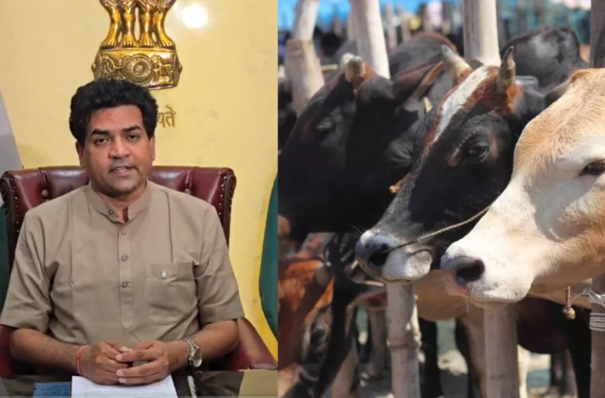  ബംഗാളിന് പിന്നാലെ ഡൽഹിയും; ബലിപെരുന്നാളിൽ കന്നുകാലി അറവിന് കടുത്ത നിയന്ത്രണങ്ങൾ; മാർഗ്ഗരേഖകൾ പുറത്തിറക്കി