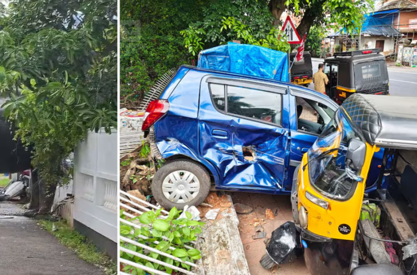  നായയെ കണ്ട് പേടിച്ചോടി; തൃശൂരിൽ ഫോട്ടോഷൂട്ടിനെത്തിച്ച ആന ഇടഞ്ഞു, വാഹനങ്ങളും വീടിന്റെ മതിലും തകർത്തു