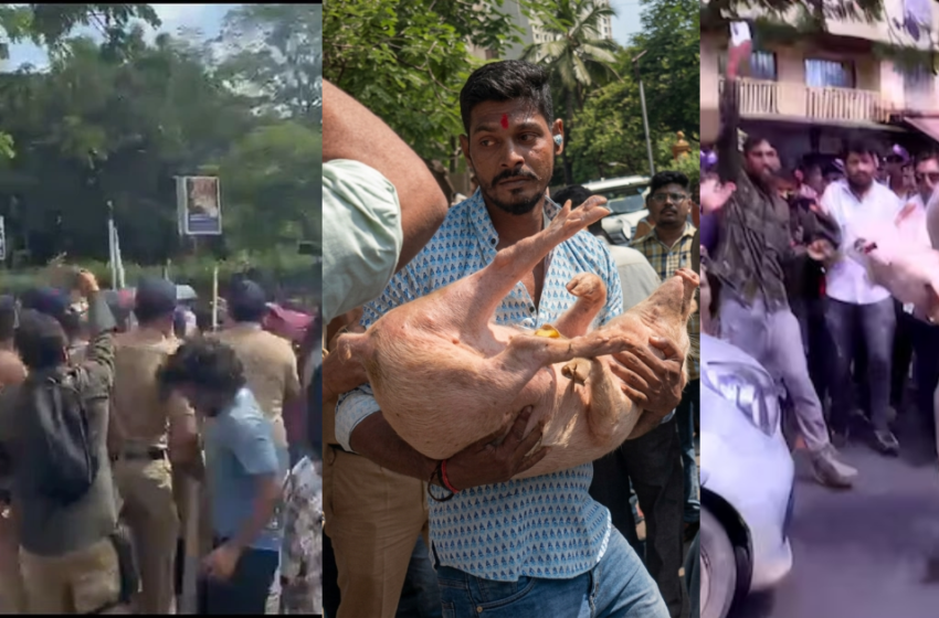 മഹാരാഷ്ട്രയിൽ ബലിപെരുന്നാളിനുള്ള ആടുകളെ എത്തിച്ചതിനെച്ചൊല്ലി വൻ സംഘർഷം; പന്നിക്കുഞ്ഞുമായി പ്രതിഷേധിച്ച് ഹിന്ദു സംഘടനകൾ; ഒരാൾക്ക് പരിക്ക്