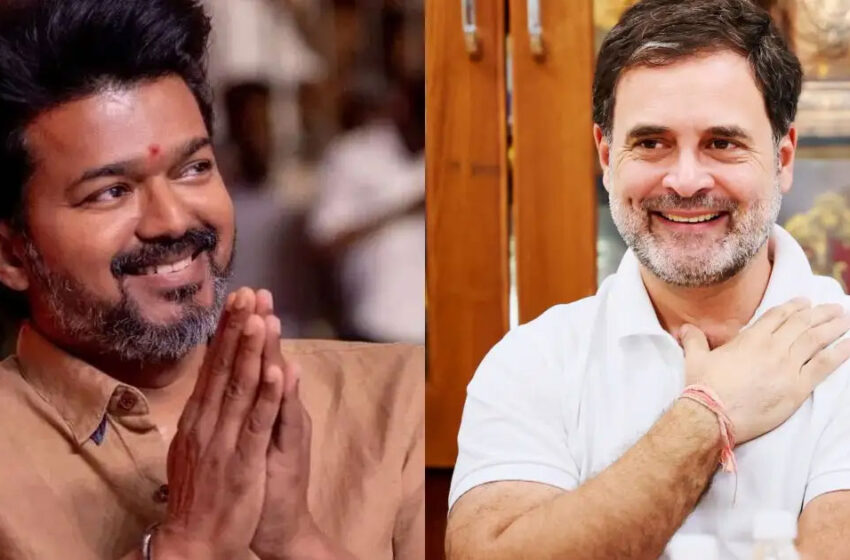  വിജയ്‌യെ വിളിച്ച് രാഹുൽ; സർക്കാർ രൂപീകരിക്കാൻ കൈ കൊടുക്കുമോ കോൺഗ്രസ്?