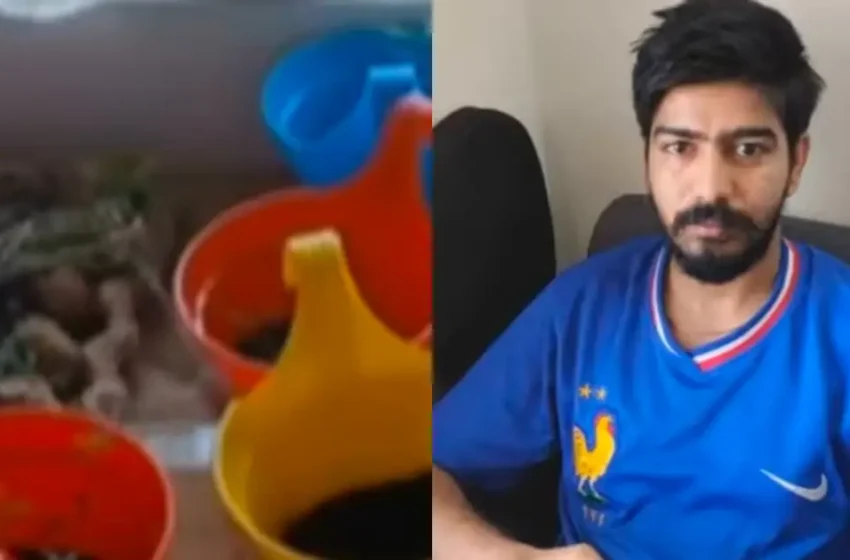  കഞ്ചാവ് ഇല പാലിലിട്ട് കുടിക്കും, ചമ്മന്തി അരച്ചും കഴിക്കും! കുടുങ്ങിയത് ഫ്ലാറ്റിൽ ഹൈടെക് കൃഷി നടത്തിയ ലക്ഷങ്ങൾ ശമ്പളമുള്ള ടെക്നോപാർക്ക് ഐടി മാനേജർ