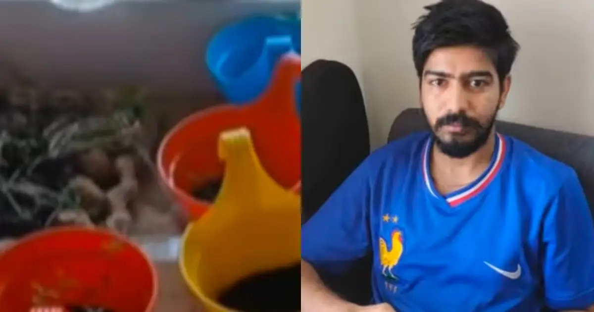  കഞ്ചാവ് ഇല പാലിലിട്ട് കുടിക്കും, ചമ്മന്തി അരച്ചും കഴിക്കും! കുടുങ്ങിയത് ഫ്ലാറ്റിൽ ഹൈടെക് കൃഷി നടത്തിയ ലക്ഷങ്ങൾ ശമ്പളമുള്ള ടെക്നോപാർക്ക് ഐടി മാനേജർ