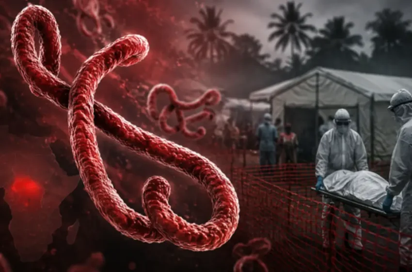  എബോള ലക്ഷണമെന്ന് സംശയം; ഇന്ത്യയിൽ എത്തിയ സുഡാൻ പൗരൻ നിരീക്ഷണത്തിൽ