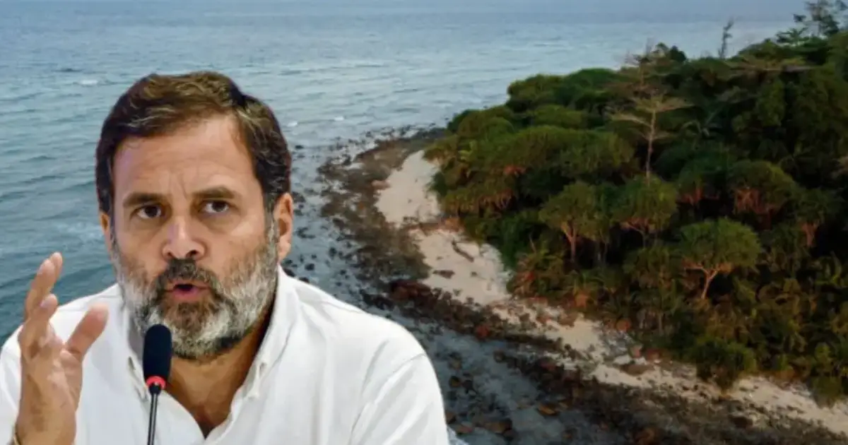 'ഹോട്ടലുകൾക്കും കാസിനോകൾക്കും വേണ്ടി കോടിക്കണക്കിന് മരങ്ങൾ വെട്ടുന്നു'; ഗ്രേറ്റ് നിക്കോബാർ പദ്ധതിക്കെതിരെ രാഹുൽ ഗാന്ധി