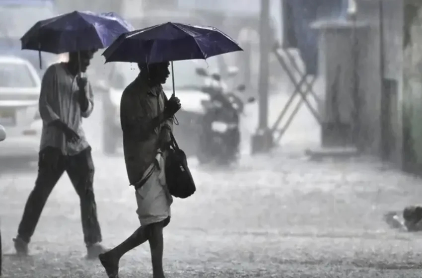  5 ജില്ലകളിൽ റെഡ് അലർട്ട്; കാസർകോട്, വയനാട്, കോഴിക്കോട് ജില്ലകളിലെ വിദ്യാഭ്യാസ സ്ഥാപനങ്ങൾക്ക് നാളെ അവധി