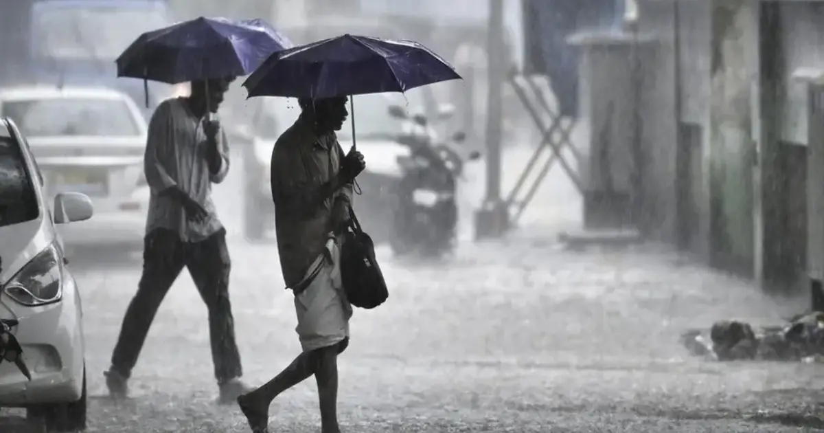 5 ജില്ലകളിൽ റെഡ് അലർട്ട്; കാസർകോട്, വയനാട്, കോഴിക്കോട് ജില്ലകളിലെ വിദ്യാഭ്യാസ സ്ഥാപനങ്ങൾക്ക് നാളെ അവധി