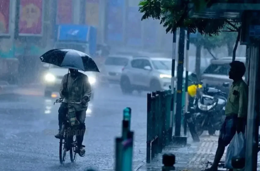  അതിതീവ്ര മഴ: കോഴിക്കോട്, കാസർഗോഡ് ജില്ലകളിൽ നാളെ വിദ്യാഭ്യാസ സ്ഥാപനങ്ങൾക്ക് അവധി