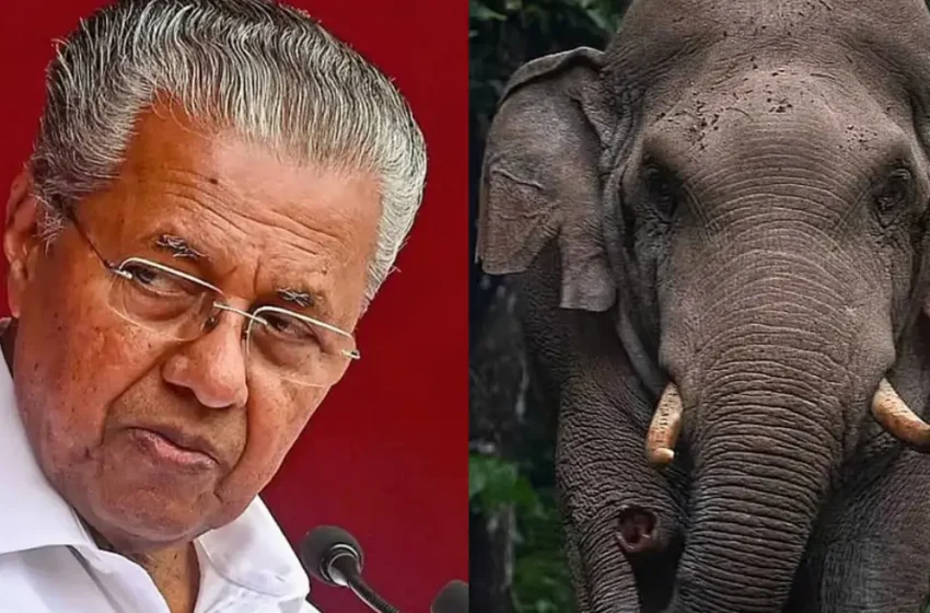  “സർക്കാർ മാറിയത് ആന അറിഞ്ഞില്ലായെന്നത് മറുപടിയല്ല”; ഫലപ്രദമായ നടപടികൾ സ്വീകരിക്കണമെന്ന് പ്രതിപക്ഷ നേതാവ് പിണറായി വിജയൻ