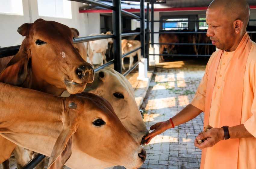  പശുക്കൾ എല്ലാ ജീവികൾക്കും മാതാവ്; വീഡിയോ പങ്കുവെച്ച് യുപി മുഖ്യമന്ത്രി യോഗി ആദിത്യനാഥ്