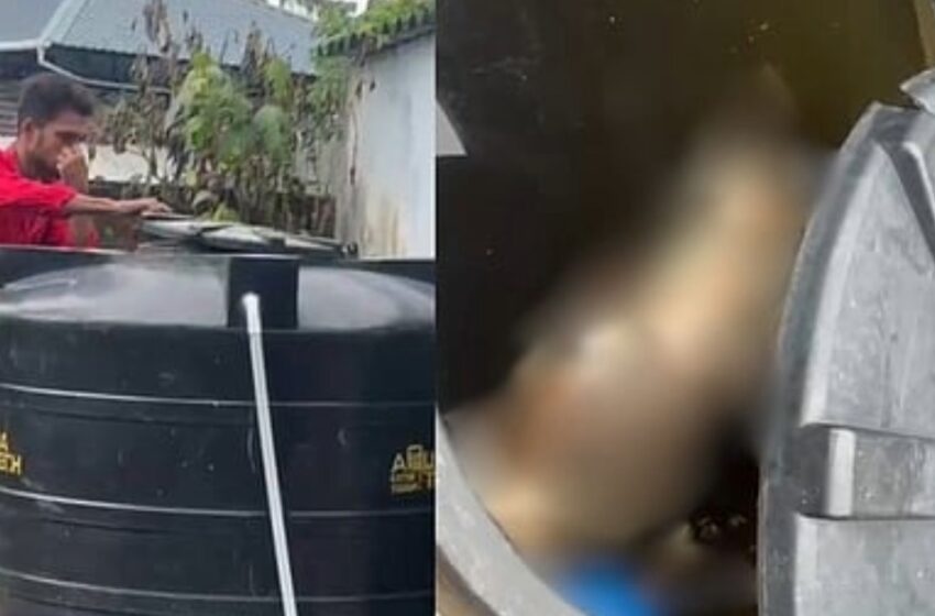  പാലക്കാട് 20-ഓളം കുടുംബങ്ങളുടെ കുടിവെള്ളം മുട്ടിച്ച് ക്രൂരത; പട്ടിയെ കൊന്ന് ടാങ്കിൽ ഇട്ടു