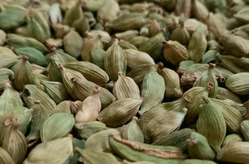  രാത്രിയിൽ ഉറങ്ങാൻ കിടക്കുന്നതിന് മുമ്പ് ഏലയ്ക്ക ചവയ്ക്കുന്നതിന്റെ 10 ഗുണങ്ങൾ
