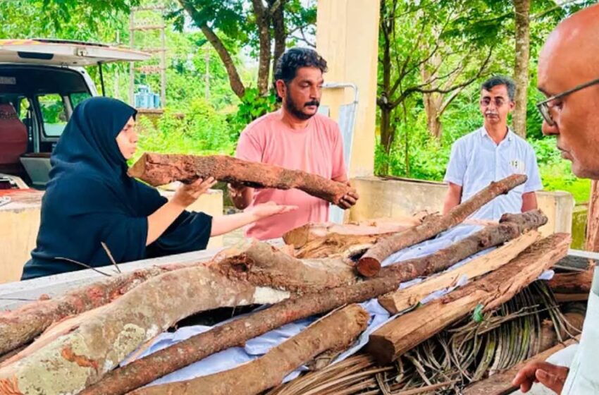  ആദ്യകാല ആർഎസ്എസ് പ്രവർത്തകന്റെ മൃതദേഹം ഏറ്റുവാങ്ങാനാളില്ല; ചിതയൊരുക്കി തീകൊളുത്തി വനിതാ ലീഗ് നേതാവ്