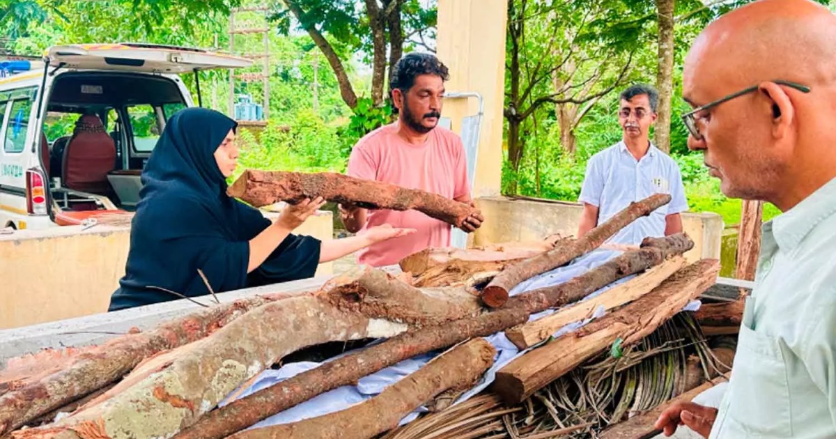ആദ്യകാല ആർഎസ്എസ് പ്രവർത്തകന്റെ മൃതദേഹം ഏറ്റുവാങ്ങാനാളില്ല; ചിതയൊരുക്കി തീകൊളുത്തി വനിതാ ലീഗ് നേതാവ്