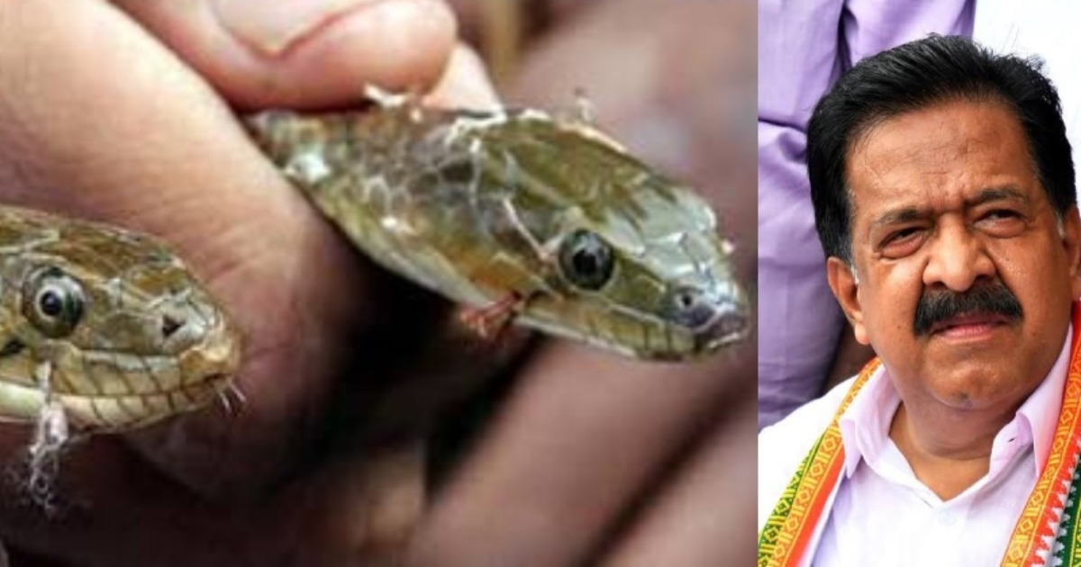 ‘അണലി കുഞ്ഞുങ്ങളെക്കൊണ്ട് നാവിൽ കൊത്തിക്കുന്ന പാർലറുകൾ വരെയുണ്ട്; ലഹരിയുടെ വേരറുക്കും’; രമേശ് ചെന്നിത്തല