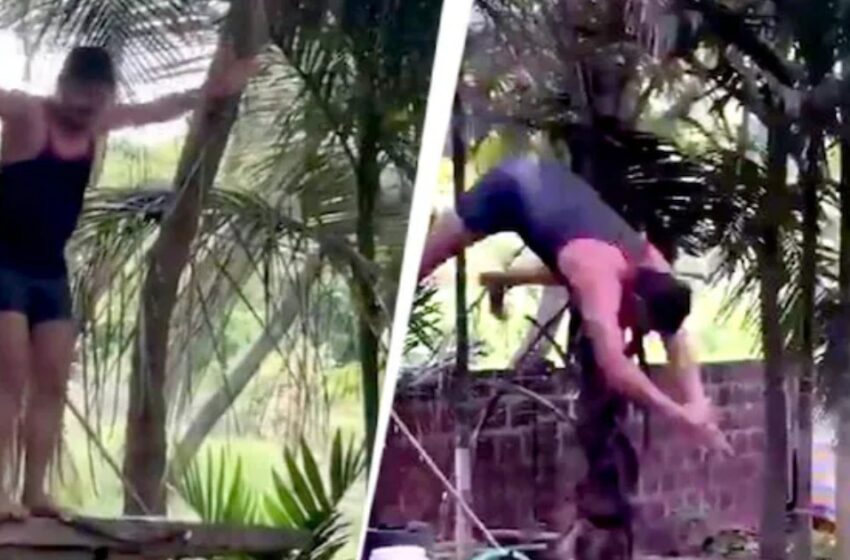  പൂളിലേക്ക് പത്തടി ഉയരത്തിൽ നിന്ന് ഡൈവ്; തലയിടിച്ച് യുവാവിന് ദാരുണാന്ത്യം