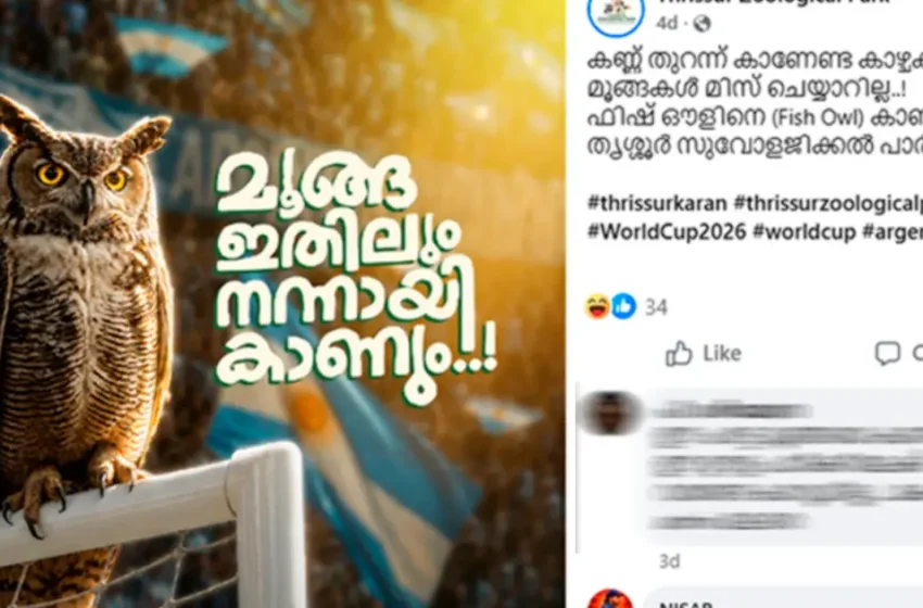  ‘മൂങ്ങ ഇതിലും നന്നായി കാണും’; ഫിഫക്കും അർജന്റീനക്കും ട്രോളുമായി പുത്തൂർ സുവോളജിക്കൽ പാർക്ക്