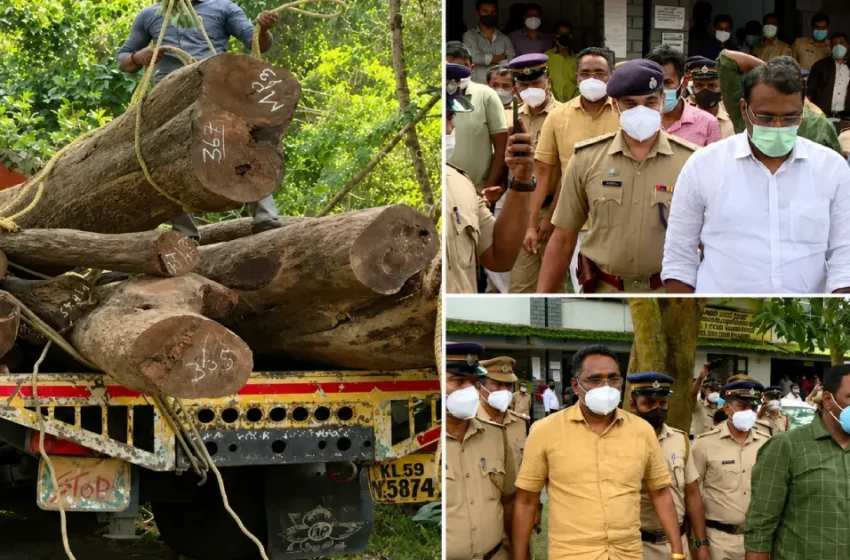  മുട്ടിൽ മരംമുറിക്കേസ്: അഗസ്റ്റിൻ സഹോദരങ്ങൾക്ക് തിരിച്ചടി; കേസ് റദ്ദാക്കണമെന്ന ഹരജി തള്ളി ഹൈക്കോടതി
