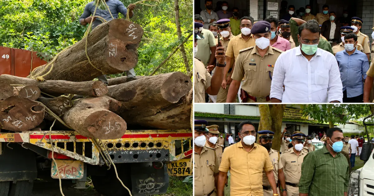  മുട്ടിൽ മരംമുറിക്കേസ്: അഗസ്റ്റിൻ സഹോദരങ്ങൾക്ക് തിരിച്ചടി; കേസ് റദ്ദാക്കണമെന്ന ഹരജി തള്ളി ഹൈക്കോടതി