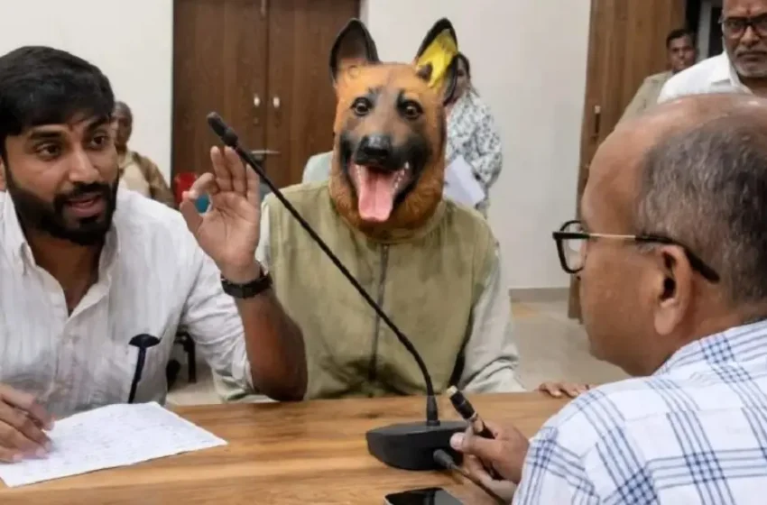  തെരുവുനായ ശല്യത്തിനെതിരെ അസാധാരണ പ്രതിഷേധം; നായയുടെ വേഷമിട്ട് കളക്ട്രേറ്റിലെത്തി യുവാവ്, വിഡിയോ വൈറൽ