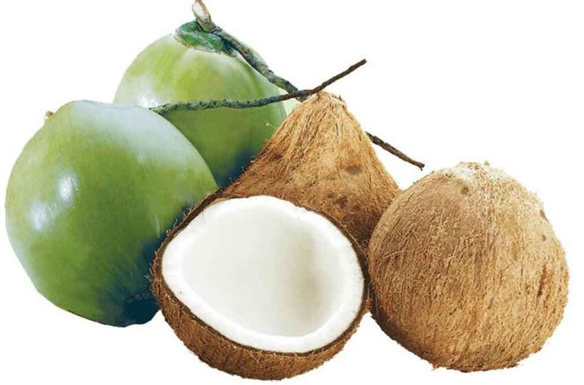  ഇനി തേങ്ങ ഉടയ്ക്കാൻ കഷ്ടപ്പെടേണ്ട; കൊടുവാളും വെട്ടുകത്തിയും വേണ്ട! ഇതാ 5 ഈസി ടിപ്‌സ് | 5 Easy Tips to Crack Coconut Without Hammer