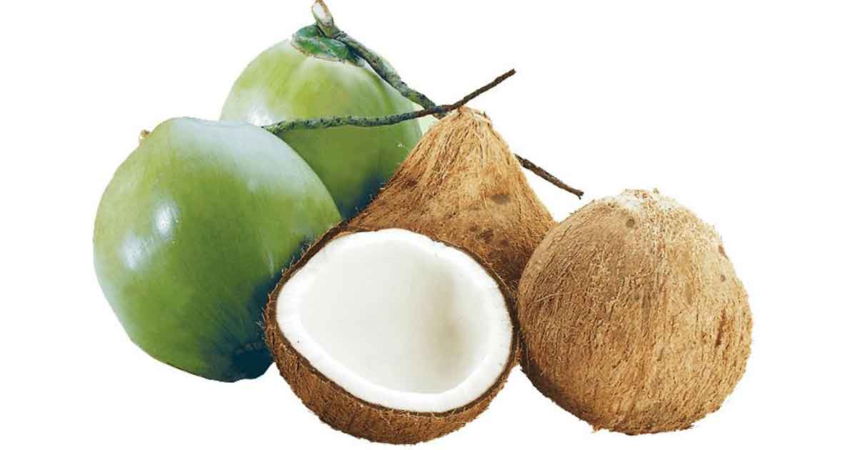  ഇനി തേങ്ങ ഉടയ്ക്കാൻ കഷ്ടപ്പെടേണ്ട; കൊടുവാളും വെട്ടുകത്തിയും വേണ്ട! ഇതാ 5 ഈസി ടിപ്‌സ് | 5 Easy Tips to Crack Coconut Without Hammer
