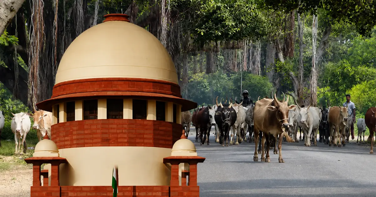 ‘ആളുകള്‍ കന്നുകാലികളെ റോഡില്‍ ഉപേക്ഷിക്കുന്നു, ഭക്ഷണമാക്കിയാല്‍ വികാരം വ്രണപ്പെടുന്നു’: സുപ്രീംകോടതി