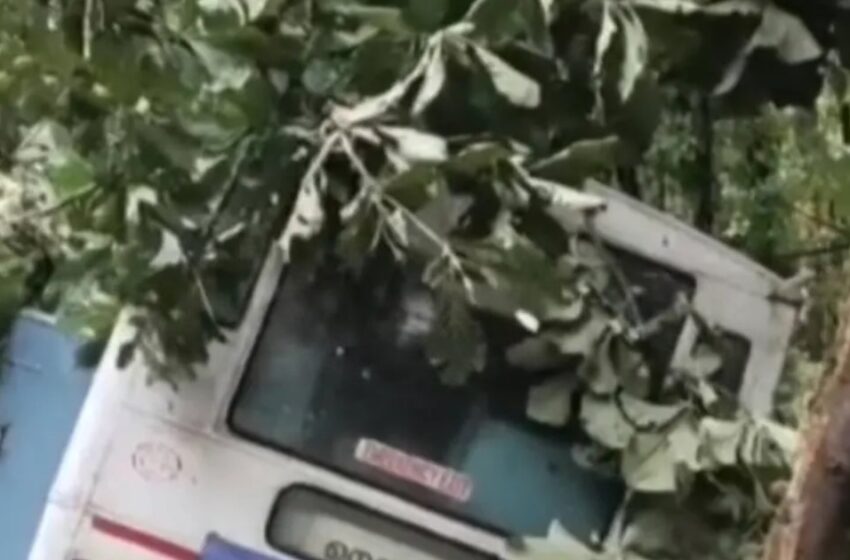  നെല്ലിയാമ്പതി ചുരത്തിൽ കെഎസ്ആർടിസി ബസ് മറിഞ്ഞ് അപകടം; ഒരാൾ മരിച്ചു, നിരവധി പേർക്ക് പരിക്ക്