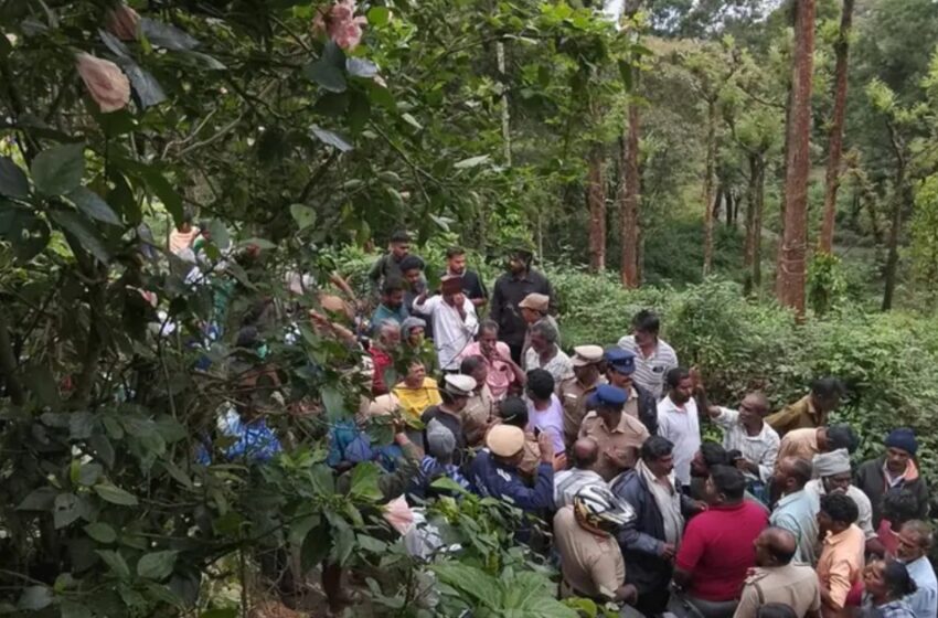 ഗൂഡല്ലൂരിൽ തോട്ടം തൊഴിലാളിയെ കടുവ കൊന്നുഭക്ഷിച്ചു; വനംവകുപ്പിനെതിരെ നാട്ടുകാരുടെ പ്രതിഷേധം