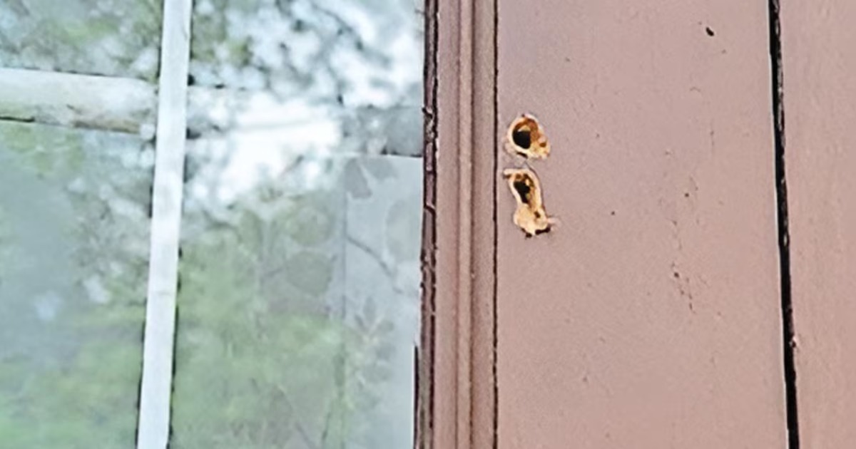  ആലപ്പുഴയിൽ വീടിന്റെ ജനൽ തുരന്ന് ഉറങ്ങിക്കിടന്ന സ്ത്രീയുടെ സ്വർണപ്പാദസരം കവർന്നു