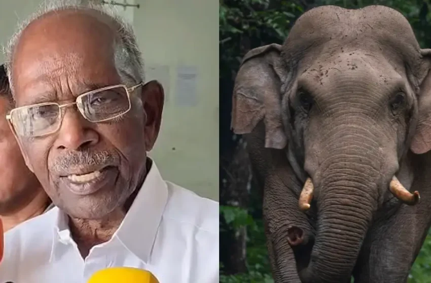  ‘അരിക്കൊമ്പൻ കോൺഗ്രസുകാരുടെ അമ്മായിയപ്പനല്ലേ; ആക്രമണകാരികളായ കാട്ടാനകളെ വെടിവെച്ചുകൊല്ലണം’; മാറ്റിപ്പാർപ്പിക്കുന്നത് ശാശ്വത പരിഹാരമല്ലെന്ന് എം.എം. മണി