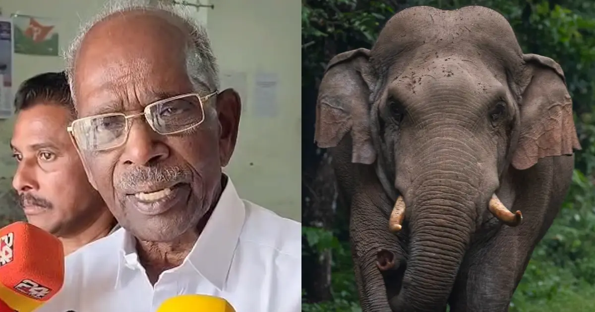  ‘അരിക്കൊമ്പൻ കോൺഗ്രസുകാരുടെ അമ്മായിയപ്പനല്ലേ; ആക്രമണകാരികളായ കാട്ടാനകളെ വെടിവെച്ചുകൊല്ലണം’; മാറ്റിപ്പാർപ്പിക്കുന്നത് ശാശ്വത പരിഹാരമല്ലെന്ന് എം.എം. മണി