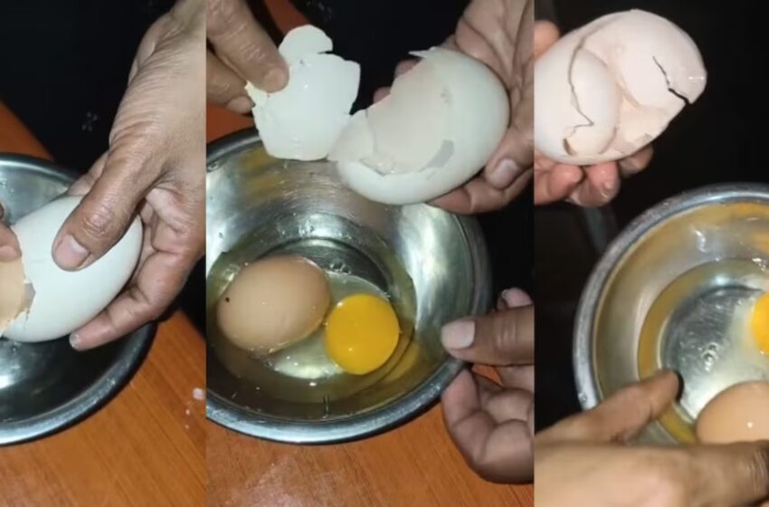 മുട്ട പൊട്ടിച്ചപ്പോൾ ഉള്ളിൽ മറ്റൊരു മുട്ട! കോട്ടക്കലിലെ അപൂർവ്വ കാഴ്ചയ്ക്ക് പിന്നിലെന്ത്?