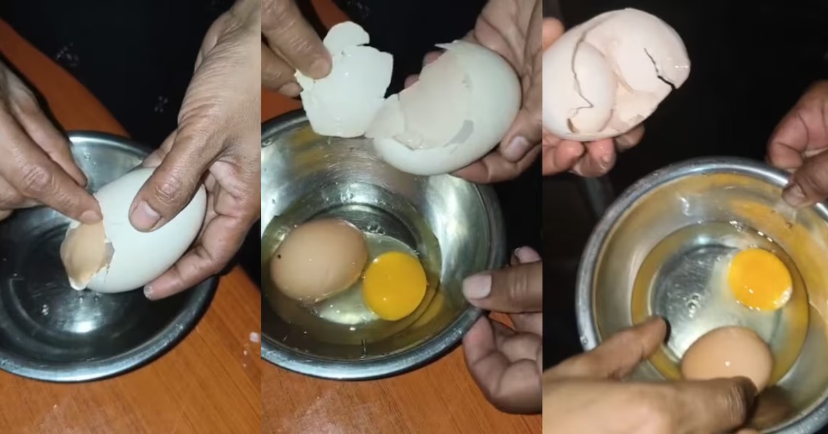  മുട്ട പൊട്ടിച്ചപ്പോൾ ഉള്ളിൽ മറ്റൊരു മുട്ട! കോട്ടക്കലിലെ അപൂർവ്വ കാഴ്ചയ്ക്ക് പിന്നിലെന്ത്?