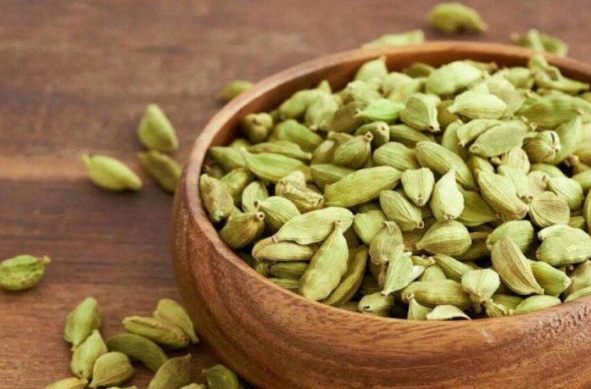  പുറത്തേക്കിറങ്ങും മുൻപ് എന്തിനാണ് പോക്കറ്റിൽ ഏലം സൂക്ഷിക്കുന്നത്?