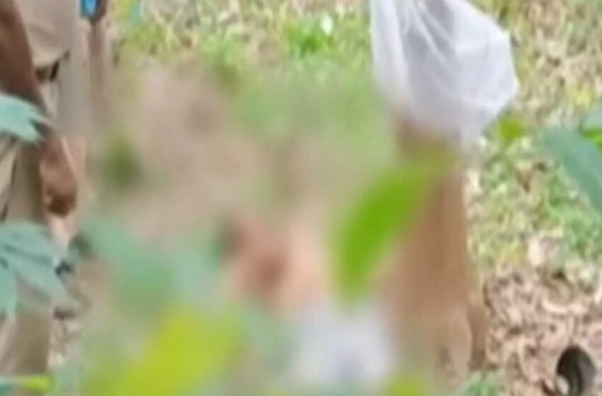  എരുമേലി ഷിബു ഖാൻ കൊലക്കേസ്: സിപിഎം മണിമല പഞ്ചായത്ത് അംഗം ജോജി ജോൺ ഉൾപ്പെടെ 6 പേർ അറസ്റ്റിൽ