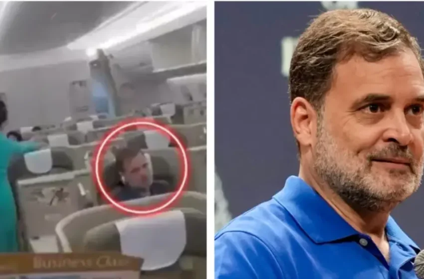  ‘നുണകൾ പ്രചരിപ്പിച്ച് മടുത്തു… കുറച്ചു ദിവസം വിയറ്റ്നാമിൽ കറങ്ങി വരാം’; രാഹുലിന്റെ വിദേശയാത്രയെ പരിഹസിച്ച് ബിജെപി
