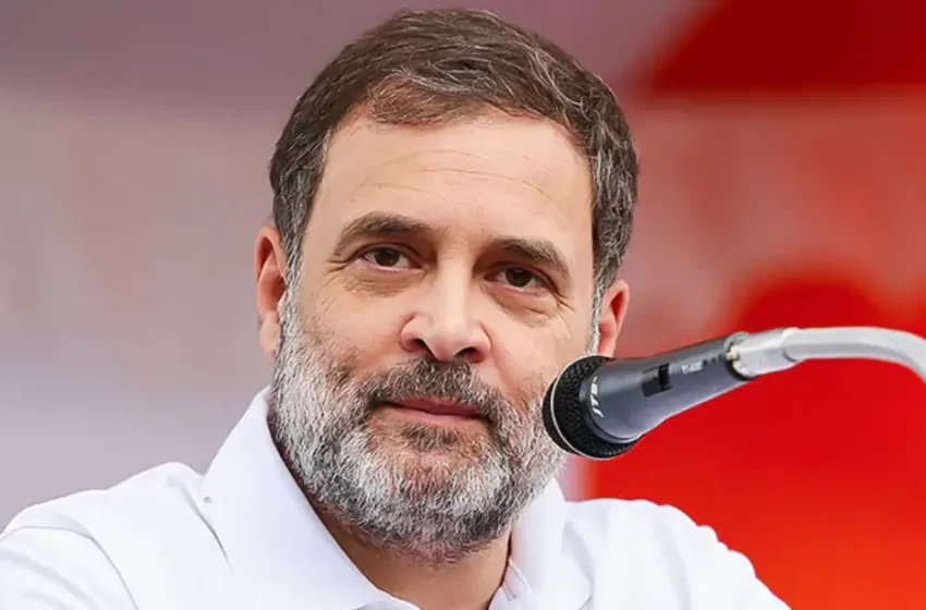 “ഇന്ത്യ സഖ്യത്തിന്റെ റാലിക്ക് പബ്ലിസിറ്റി നൽകിയതിന് ബിജെപിക്ക് നന്ദി”; പരിഹസിച്ച് രാഹുൽ ഗാന്ധി