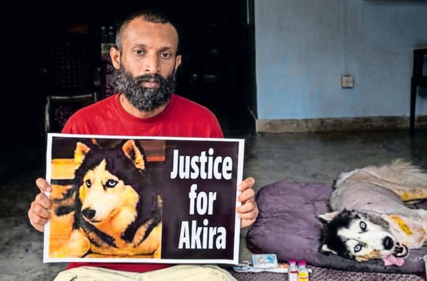  ‘ചികിത്സാ പിഴവ് മൂലം ലക്ഷങ്ങൾ വിലയുള്ള നായയുടെ ശരീരം തളർന്നതായി പരാതി’; പറവൂർ മൃഗാശുപത്രിക്കു മുന്നിൽ ഉടമയുടെ സമരം