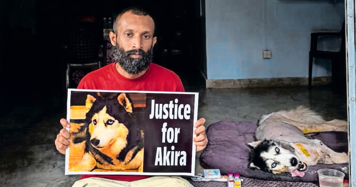  ‘ചികിത്സാ പിഴവ് മൂലം ലക്ഷങ്ങൾ വിലയുള്ള നായയുടെ ശരീരം തളർന്നതായി പരാതി’; പറവൂർ മൃഗാശുപത്രിക്കു മുന്നിൽ ഉടമയുടെ സമരം